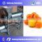 Lowest Price Big Discount Spiral Type Fruit Juicer Machine