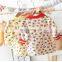 2020 Girls Baby Strawberry Print Western Cute Children Princess Dress