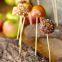 4mm  Bamboo Skewers 10' Natural Roasting Skewers Sticks for BBQ Grilling, Chocolate Fountain, Barbecue, Appetiser, Crafting ,Party, Marshmallow Roasting or Fruit Sticks