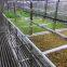 40HQ hydroponic fodder system container farmhydroponic growing systems shipping container hydroponic system