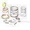 Manufacturer Customized Precision High Quality Heavy Duty Coil Compression Spring With Nickel Gold Finish