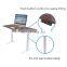 Ergonomic Electric Motorized Height Adjustable Sit Stand Desk