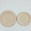 Disposable plate Salad plate fruit plate