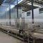 Ligne de production de machines de traitement pour les olives Manzanilla farcies en conserve, usine