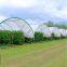 Hdpe Insect Nets for Agriculture Farm Fruit Fly