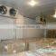 0.75-3hp freezing room with monoblock unit