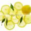 Manufacturial Good Quality Lemon Cutter