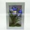 Indoor decoration artificial flower frame for wall decoration with wholesale price