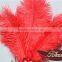 Event Products Red Artificial Ostrich Feather Decorations Party Dance Mask