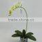 potted plant artificial white color orchid flowers