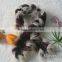 factory direct supply fashion dyed 100% real rex rabbit scarf in high quality