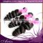 Brazilian Body Wave Thick Virgin Brazilian Hair Bundles Free Shipping 100% Human Hair Weave No Tangle