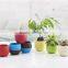 Mini Plastic Flower Pots
