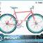 2016 Single Speed 700c Fixed Gear Bike/bicicleta Fixie/single Gear Bike (PW-F700C331)