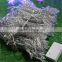 LED curtain light,300L CE RoHS certificated ,LED party/ wedding / christmas decoration light
