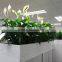 Real Touch Plastic Plant Artificial Spathi phyllum