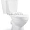 Chinese Ceramic Washdown Two Piece Toilet