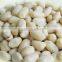 Chinese blanched peanut kernels in round shape for sale