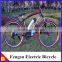 250W Brushless Electric Bicycle