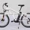 Easy-go 250w brushless(8fun) small folding electric bicycle kit with 24v/36 lithium battery EN15194 certificate