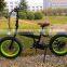 2016 Best Electric Bicycles Folding Electric Bike with Fat Tires