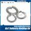 Supplier From China GT Hot Dip Galvanized DIN125 B Flat Gasket