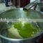 Centrifugal olive oil separator