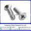Flat countersunk head square neck bolts with black /yellow zinc plated/blue white