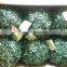 Artificial boxwood dark green plastic balls