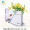 Combination Fish Tank and Flower Pot