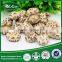 2015 HOT Cheap Market Prices for Mushroom for Sale