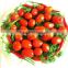 Vietnam pickled cherry and big tomatoes in glass jar - Cheap price!