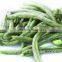 Fried Green Bean
