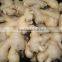 Fresh air dried Ginger
