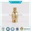 Brass automatic lathe parts
