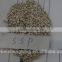 Single super phosphate ssp 18% in plastic woven bag