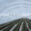 drip pipe irrigation tape. Made in Spain