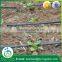 agricultural netafim lateral irrigation machinery