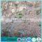 Wire Rope Stair Mesh / Earthing Slope Stabilization Mesh