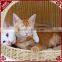 S&D China manufacturer wholesale warm heated pet bed/pet house