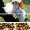 pet feed dog food