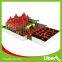 Kids Jump Trampoline Jumping Sport