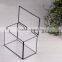 Garden Decoration Geometric Glass Terrarium / Cube / Handmade Glass Plant Flower Pot for Indoor Garden