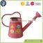 Small Indoor Garden Kids Galvanized Watering Can