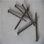 iron wire Nails wood nail