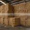 automatic Coconut Fiber extraction machine coconut coir fiber machine palm fiber processing machine