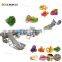 LONKIA Vegetable Production Line Fruit Salad washing Equipment