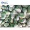 Crop IQF Bulk Fresh Broad Beans Quality Fava Bean Export