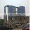 Best sale sus304 lpg series blood spray dryer equipment/spray drying machine