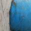 Rubber dam, how much is the rubber dam, China rubber dam manufacturer